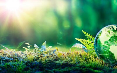 Giornata mondiale della Terra, proposte per una scuola sostenibile